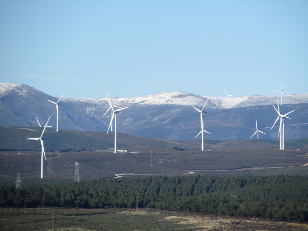 Parque-eolico-La-Pena-del-Gato.JPG